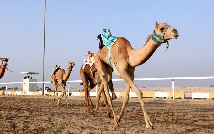 Doha One Day Tour