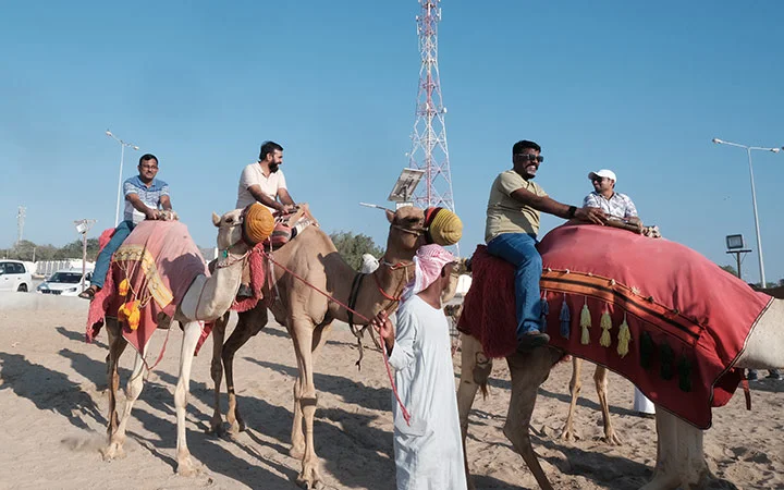 Visitors enjoying camel rides in Doha desert safari Qatar