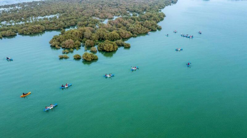 purple island kayaking qatar upper view