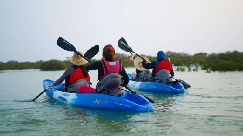 purple island kayaking view