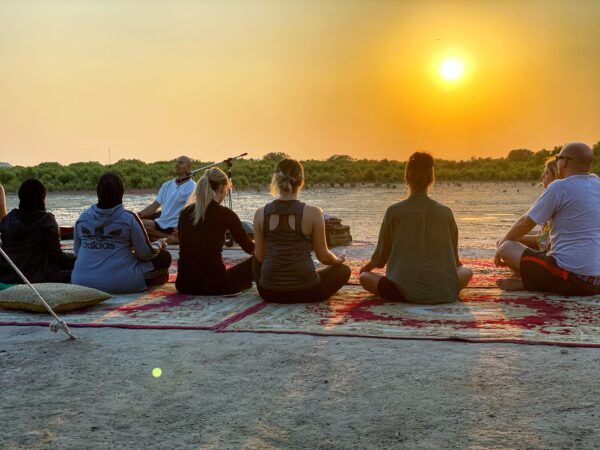 Mangrove Kayaking in Qatar at purple Island