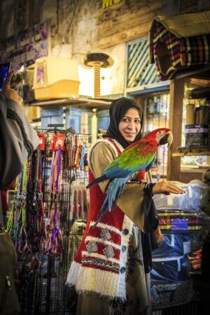 Treasure Hunt in Souq Qatar View