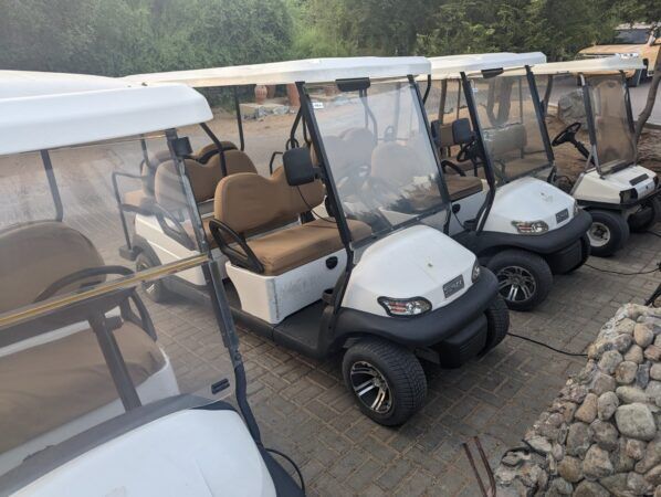 al maha buggy service